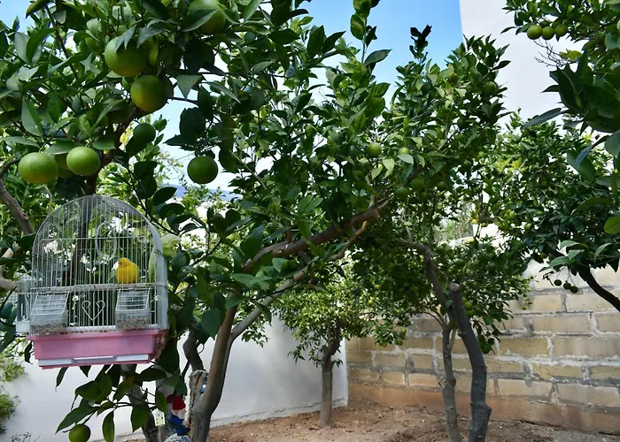 Secret Gazde/Camere de închiriat Tarxien
