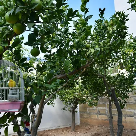Secret Homestay szállás Tarxien